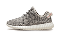 Yeezy Boost 350 "Turtle Dove" AQ4832