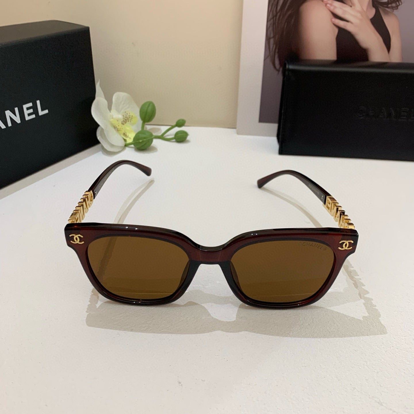CC Acetate Sunglasses 189564